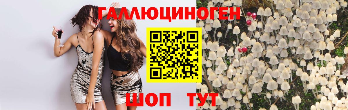 Галлюциногенные грибы мухоморы  Вход с VPN  Щёлково 